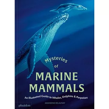 Mysteries of Marine Mammals: An Illustrated Guide to Whales, Dolphins, and Porpoises