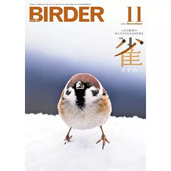 BIRDER 11月號/2025