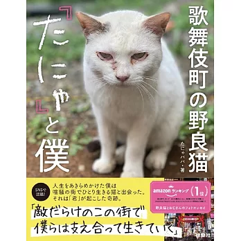 歌舞伎町の野良猫「たにゃ」と僕