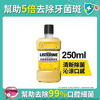 李施德霖 經典原味除菌漱口水250ml