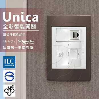 法國Schneider Unica Plus埋入式資訊網路/電話插座_香檳灰/可可亞(ABS外框)可可亞