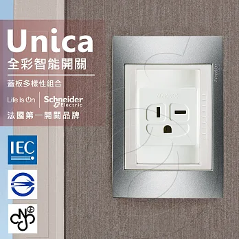 法國Schneider Unica PlusT型插座(附接地極)_香檳灰/可可亞(ABS外框)香檳灰