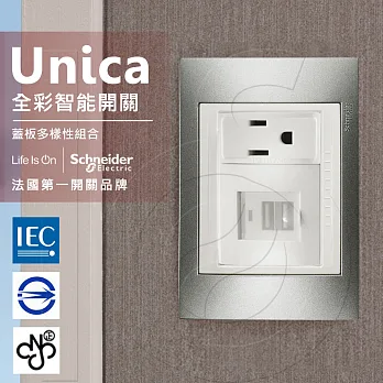 法國Schneider Unica Plus雙USB插座/單插座_香檳灰/可可亞(ABS外框)香檳灰
