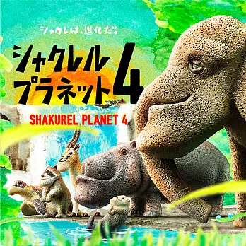 【日本正版授權】全套6款 戽斗動物園 P4 扭蛋/轉蛋 第4彈 厚道動物園/厚道星球 熊貓之穴