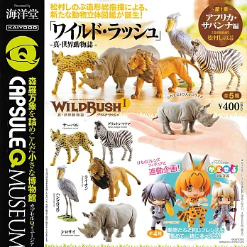 【日本正版授權】全套5款 真世界動物誌 P1 非洲草原篇 扭蛋/轉蛋 第1彈 海洋堂 KAIYODO