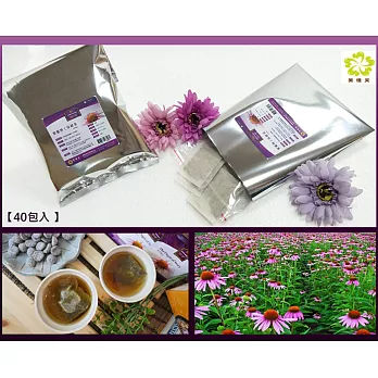 紫錐博士保健茶 - 經典養生-量販包(40入) 超值組 草本茶