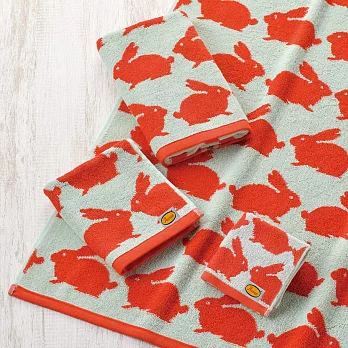 【日本丸真】Anorak英倫設計款洗臉巾 (兔子)