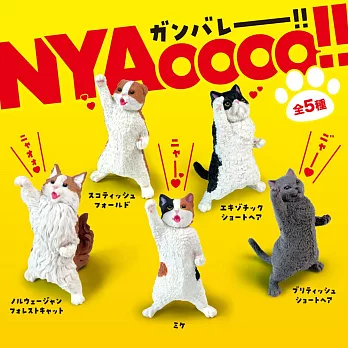 YELL NYAoooo!!加油貓 扭蛋/轉蛋 _單入隨機款