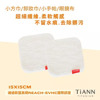 【TiANN】鈦好擦 擦拭布 小-兩入組/毛巾/擦手巾/眼鏡布 15x15cm