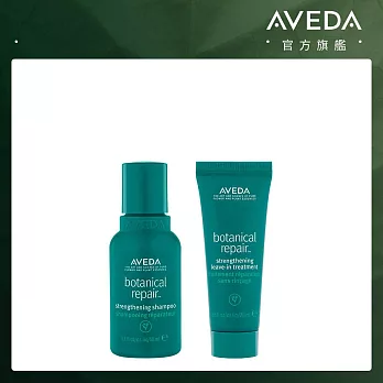 AVEDA 花植結構洗護隨行組