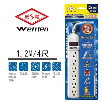 威電牌 3孔1開6插電腦延長線 11A 4尺 SK-1036-4