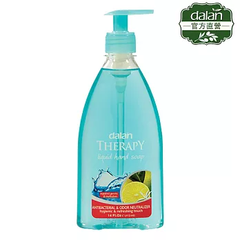 【土耳其dalan】抗菌＆消除異味健康洗手乳 400ml