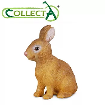【CollectA】白兔