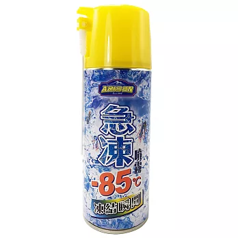 ARISON 凍結瞬間 急凍殺蟑噴霧特大瓶 450ml