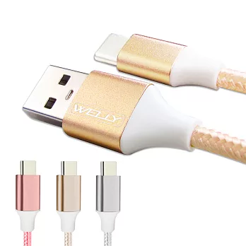 WELLY Type-C 3.0A 二代金屬系經典編織線 傳輸充電線1M(超值2入)浩瀚銀