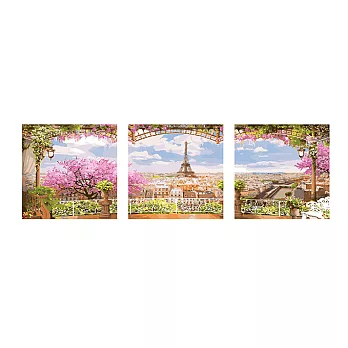 ArtLife藝術生活【95095】巴黎花園 _ DIY 數字 油畫 彩繪