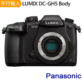 Panasonic LUMIX GH5 單機身*(中文平輸) - 加送64G記憶卡+大吹球+細毛刷+拭鏡布+清潔液組+高透光保護貼