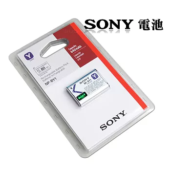 SONY NP-BY1 / NPBY1 專用相機原廠電池(平輸-吊卡包裝)