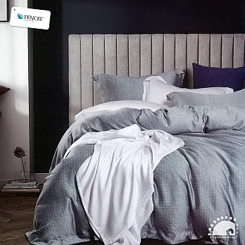 《幸福晨光》100%天絲雙人兩用被床包四件組-純淨之淚