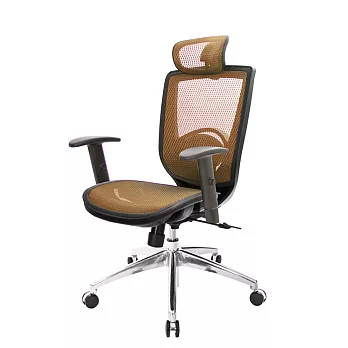 GXG 高背全網 電腦椅 (鋁腳/升降扶手) TW-81X6LUA5請備註顏色