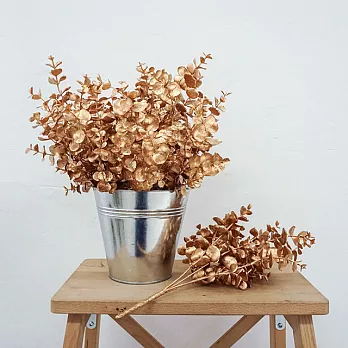 【Meric Garden】霧金尤加利葉束(5頭)-6支/束