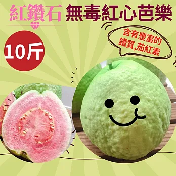 草生栽培!含有豐富鐵、茄紅素【樂品食尚】清脆甘甜!!無毒紅心芭樂10斤(免運組)
