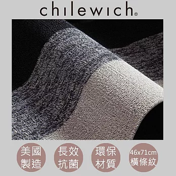 【chilewich】美國抗菌環保地墊 玄關墊46x71cm橫條紋 椒鹽灰