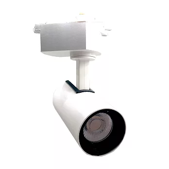 MasterLuz-7W RICH LED商用筒形軌道燈(黑白殼三種色光可選)白殼自然光