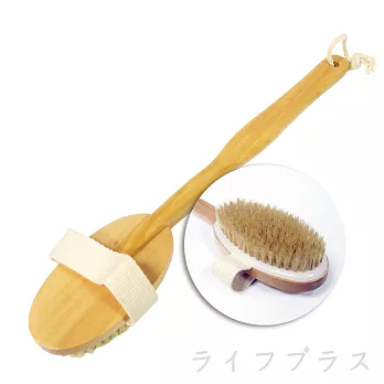 天然豬鬃毛澡刷-4入組