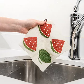 《Cuisipro》植物纖維環保抹布 | 廚房抹布 清潔布 擦拭布 - 小西瓜