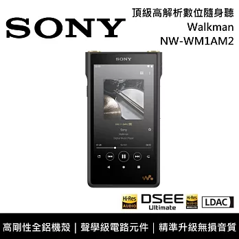 SONY 索尼 NW-WM1AM2 數位隨身聽 Walkman 黑磚 原廠公司貨