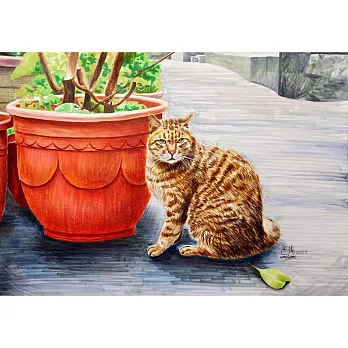 【玲廊滿藝】芒現-猴硐的貓29.7x42cm