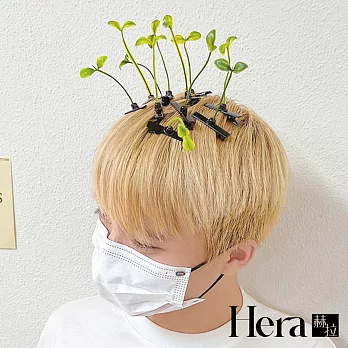 【Hera赫拉】發芽惹小草髮夾 L111080915 小草髮夾