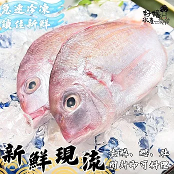 【好嬸水產】極鮮凍三去野生紅盤魚310G