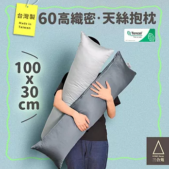 《三合苑HOMESense》頂級60支 100%純天絲 小長抱枕 100x30cm 天絲長抱枕 素色 文青 MIT(兩色任選) 曙光灰