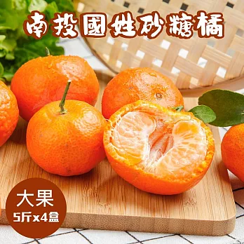 【禾鴻】南投國姓正宗砂糖橘5斤x4盒(大果) 11/27-12/05出貨