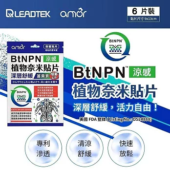 麗臺 Amor BtNPN植物奈米貼布(六片裝)薑黃素增量版 8ZD1 台灣製