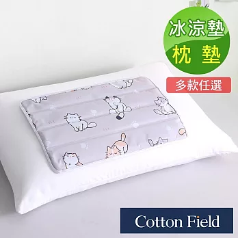 棉花田極致酷涼冷凝枕墊/萬用墊-多款可選(30x45cm) KITTEN
