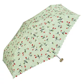 【官方直營】日本Wpc.草莓油畫風波浪傘簷手動晴雨兩用傘  綠色