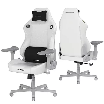 DXRACER 電競賽車椅 利刃 (6D扶手/皮面白色)