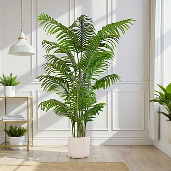 【Floral M】招財旺運鳳凰尾1.6公尺室內大型仿真植栽（贈送花盆）