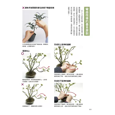博客來-樹形盆栽入門書：一次學會10種新手也能輕鬆掌握的基礎技法  