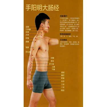 博客來-百病取穴速查圖冊（真人彩圖版） 百病取穴速查图冊