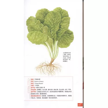 博客來-菜市場蔬菜圖鑒 