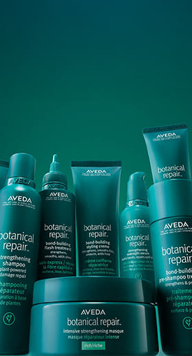 AVEDA 經典修護組