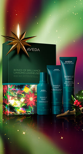 AVEDA 佳節禮盒-鞋匠精靈 (花植結構重現強韌秀髮)