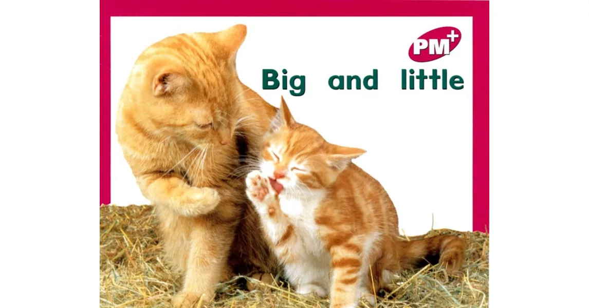 PM Plus Magenta (2) Big and Little | 拾書所