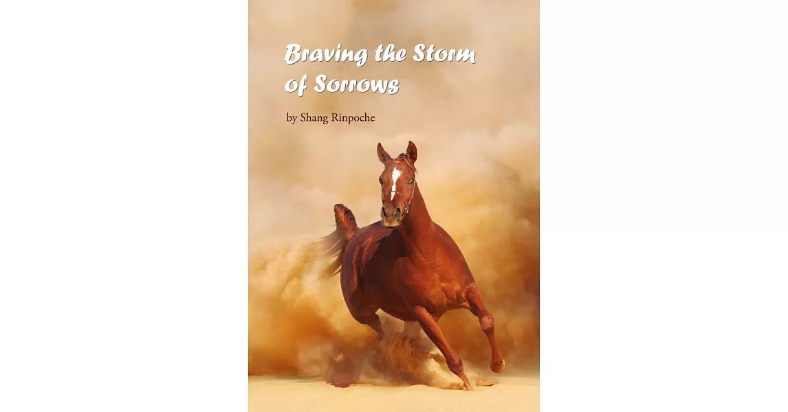 Braving the Storm of Sorrows