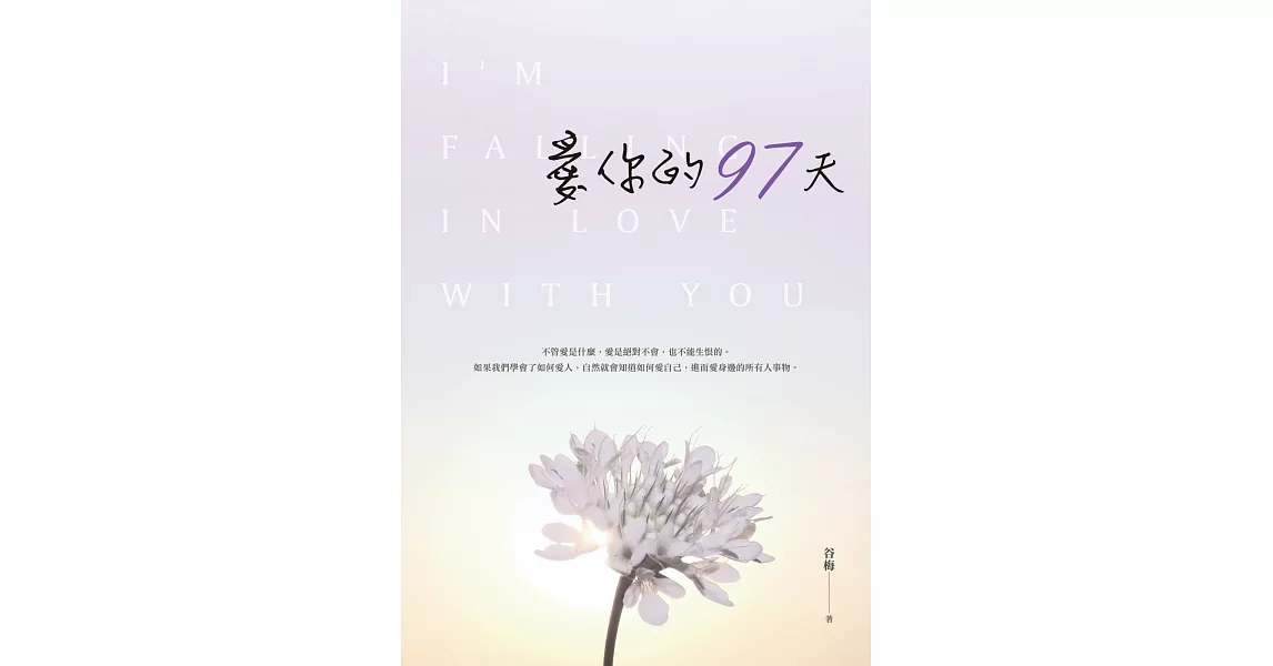 愛你的97天 | 拾書所