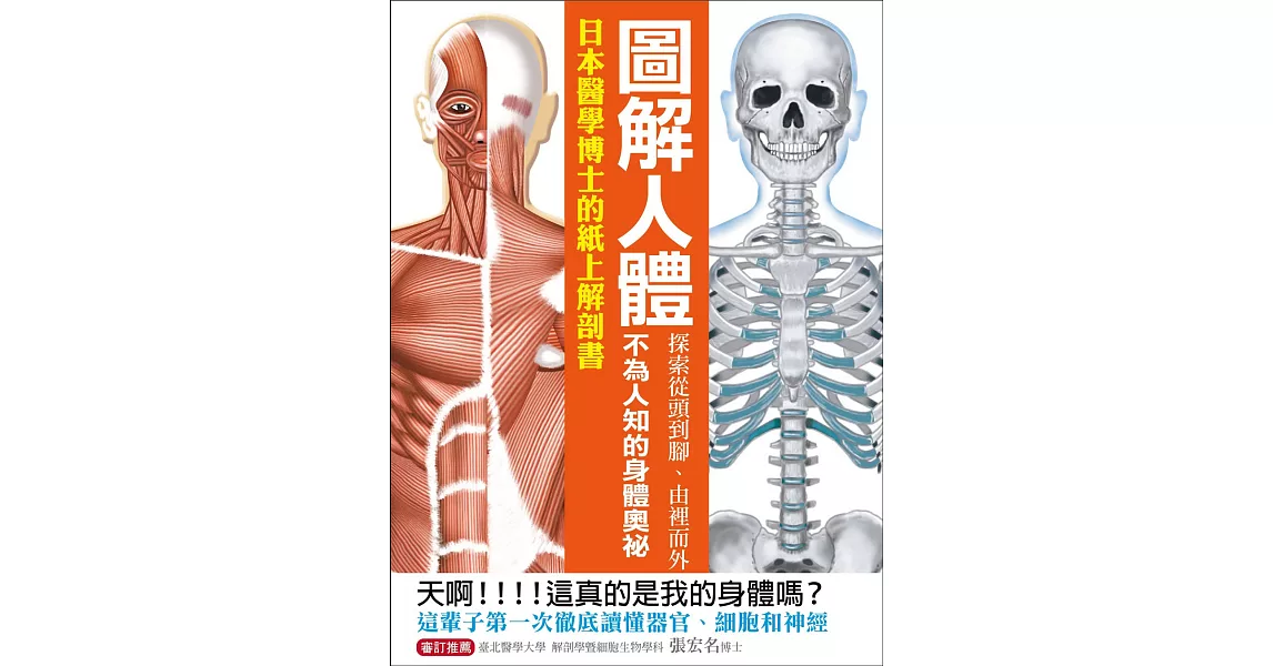 圖解人體：探索從頭到腳、由裡而外不為人知的身體奧祕！日本醫學博士的紙上解剖書！ | 拾書所